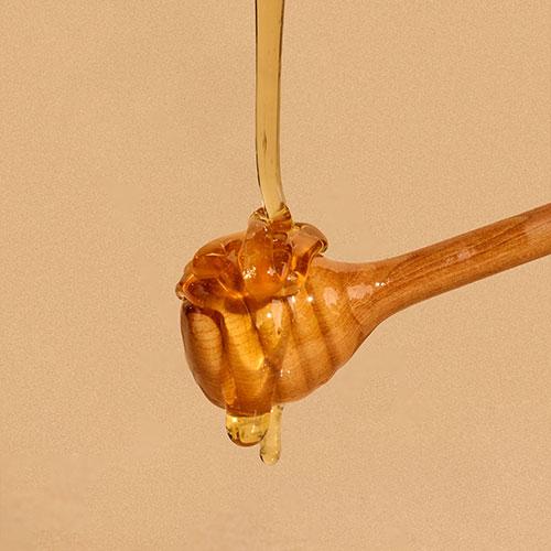 Nutseline Honey Balm Pack 100ml 4